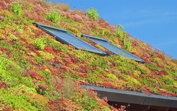 Aird Mhidhinis living roof systems